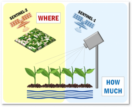 SPACE-IRR Tackles Irrigation from Space